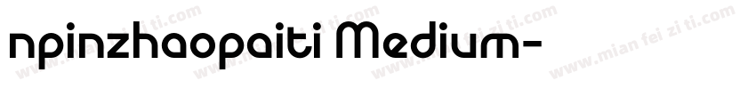 npinzhaopaiti Medium字体转换
